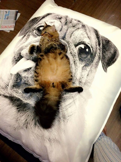 Edisi Khas Ulang Tahun ke-5